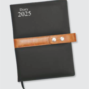 Diary 2025 (Azure U-282)